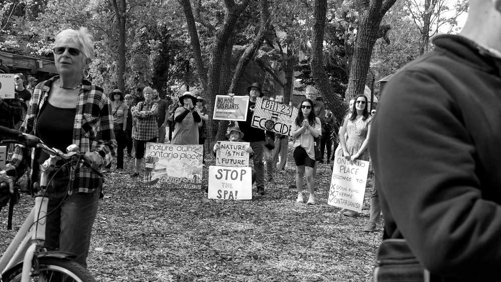 Crowd holding signs for Rally for the Trees at West Island, Ontario Place